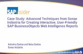 Creating Interactive, User-Friendly SAP BusinessObjects Web Intelligence Reports