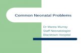 Dr Marea Murray-neonatal
