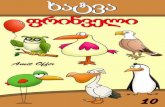 How to Draw Birds Drawing Book for Kids and Adults