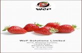 Wep Company Profile
