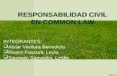 Responsabilidad Civil en Common Law