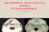 Skull Base Foramina