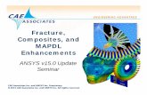 Caea v15 Update Fracture Acp Mapdl