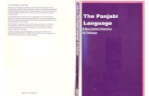 35.the Panjabi Language a Descriptive Grammar