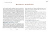 Lehninger - Biossíntese de lipídios (Cap. 21).pdf