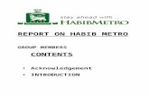 Report on Habib Metro