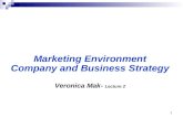 s 2015 2 Marketing Strategy and Environment
