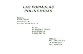 Formula Polinomica manual