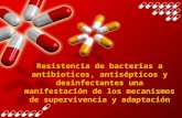 Bacterias a Antibioticos