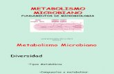 Gestor1.Acarrion.edu.Pe Courses 2014BF205FUNDAMENTOS Document SEMESTRE 2015-A CLASES MICRO Metabolismo Microbiano RESPIRACION
