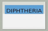 Diphtheria microbio