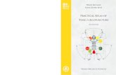 LeseprobeMcCann_Practical Atlas of Tungs Acupuncture