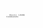Basic LRAN Commands