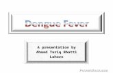 Dengue-fever-3980265 (1)