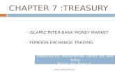 Chapter 7 Treasury