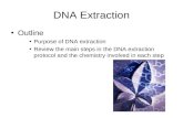 DNA Extraction Overview