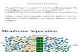 Membranes & Membrane Process