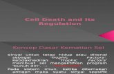 Cell Death and Its Regulation