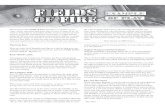 Fields of Fire Example of Play