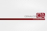 Catalogo Completo CENALCO
