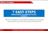 7 Easy Steps Understanding the Surrogacy Process in Mexico