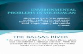 Environmental Problems in Michoacan [7587]