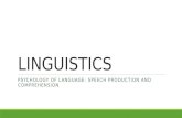 LINGUISTICS Speech ProductionR