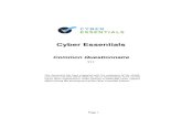 Cyber Essentials Common Questionnaire