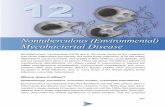 Chapter 12 Nontuberculous Mycobacterial Disease