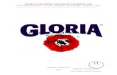 Plan Auditoria - Grupo Gloria Sa - Copia