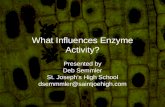 What Influences Enzyme Activity