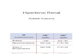 Hipertensi Renal