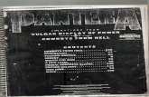 Pantera - Selections From Vulgar Display of Power & Cowboys From Hell
