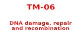 TM-06 DNA Damage, Repair and Recomb
