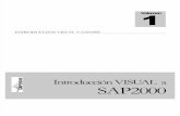 Manual  SAP2000.pdf