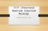 SRIM (Structural Reaction Injection Molding)
