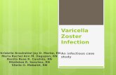Varicella Zoster Infection PPT