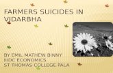 Farmers Suicides in Vidarbha