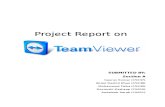 Teamviewer Project