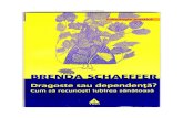Brenda Schaeffer - Dragoste Sau Dependenta