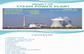 steam power plant.pptx
