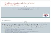 QoL 2 Dallas Animal Services Action Plan Briefing 09142015