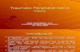 Opt-Traumatic Peripheral Nerve Injury Smt 6