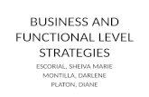 Business and Functional Level Strategies