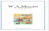 Mozart Duets Vc