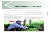 Sustainability 2009