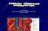 Kul-tumor Traktus Urogenital