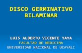 Disco Germinativo Bilaminar(Clase7)