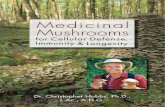 Medicinal Mushrooms C Hobbs