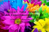 Pollen Tube Growth Presentation